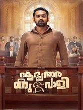 Aabhyanthara Kuttavaali (2025) HDRip Malayalam Full Movie Watch Online Free